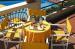 The Hotel and Residence Coccodrillo
