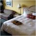 Hampton Inn hotel