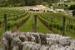 Tastings and Wine Tours at Ascension Wine Estate