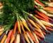 Giverny Organics