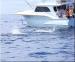 Outer Banks Fishing