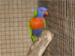 Pongola Tropical Bed and Breakfast