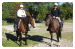 Catlins Horse Riding