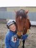 Saltvik Riding School