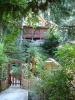 The Tree House Cottage