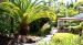 Palm Grove Cottages