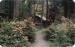 The Waldheim Resort 