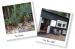 Piha Beach Cabin
