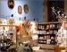 The Arctic Museum Gift Shop