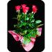Busselton Florist