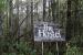 The Hostel in the Forest