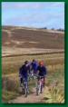 Adventure Cycling
