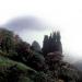 Benmore Botanic Garden