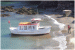 The Cawsand Ferry Co.