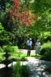 Pine Lodge Gardens & Nursery