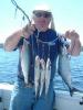 Dick's Fishing Charters