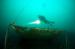 Nautilus Diving Center Guided Dives