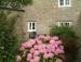 Vine Cottage