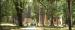Bulow Plantation Ruins Historic State Park