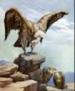 Eagle's Nest