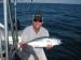 Tampa Bay Fishing