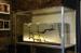 Museum of Rocca di Monfalcone