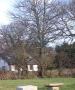 Meadow Oak Bed and Breakfast