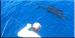 Papagayo Fishing Charters