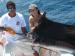 Costa Rica Sportfishing