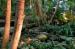 Biosphere Guided Tours