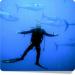 Diving Center Carloforte