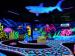 Moonlight Mini Golf
