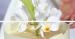 Peppers Pier Resort Hervey Bay Weddings