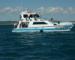 Freedom Fishing Charters
