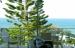 Plantation Resort at Rainbow