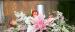 Apollo Resort Wamberal Weddings