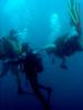 Let's Scuba Dive Tuition