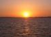 The Manatee Sunset Cruise