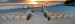 The Gulfshore Grill Events and Weddings