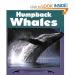 The Right Whale Gift Shop