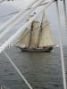 Liberte, The Schooner Corporate Concepts