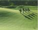 Wequassett Golf Club