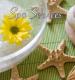 Ashley Manor Spa Services