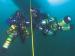 Dolphin Scuba Diving