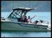 Dent Island Lodge Fishing Charters