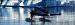 Regal Air