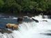 Regal Air Alaska Bear Viewing Tours