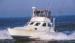 Adios Sportfishing