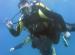 The Dive Shop